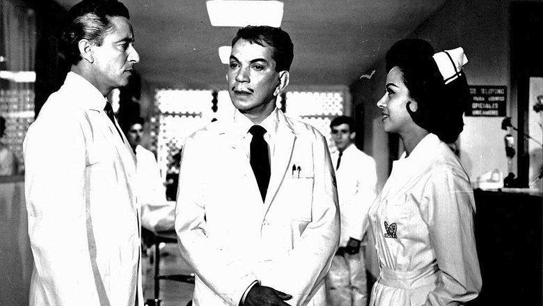 El señor doctor image