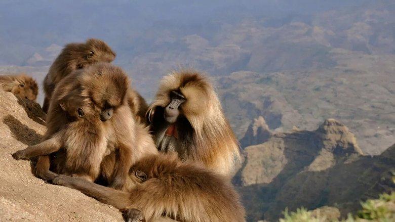 Africa's Hidden Wonders image