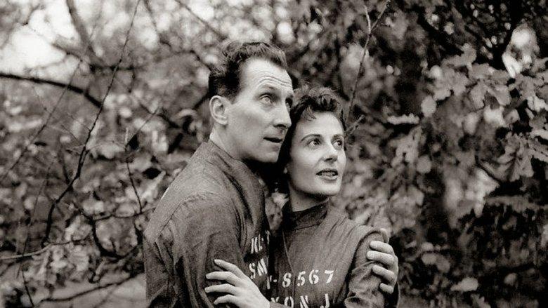 Nineteen Eighty-Four image