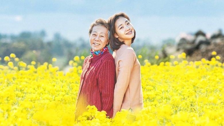 Canola image