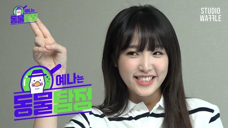 Animal Detective Yena image