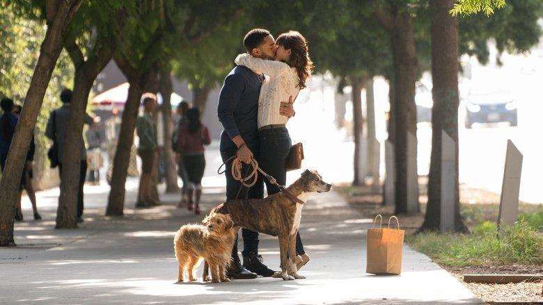 Dog Days image