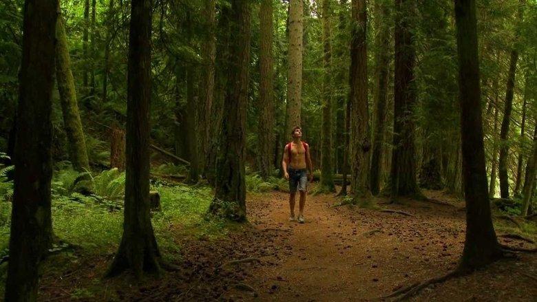 1313: Bigfoot Island image