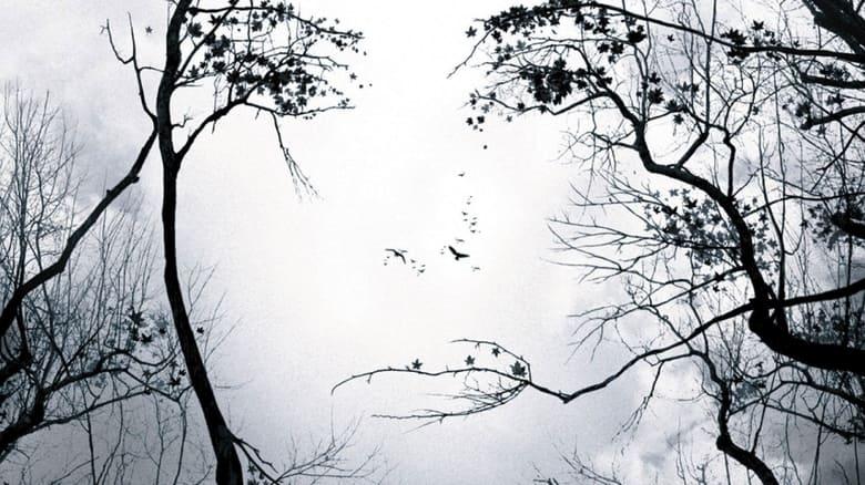 Premonition image