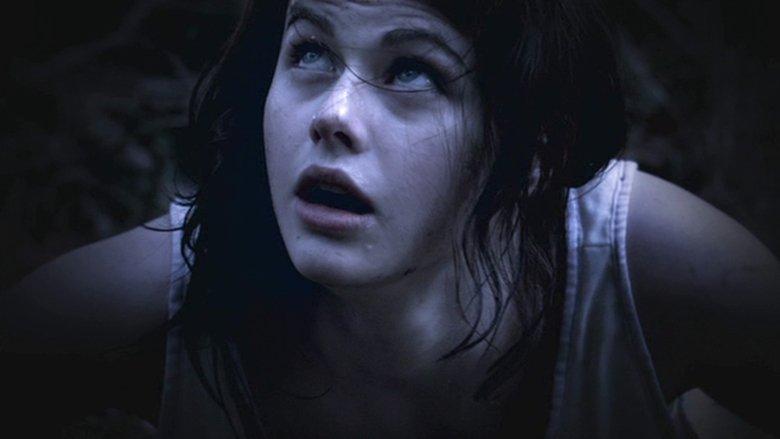 The Attic image
