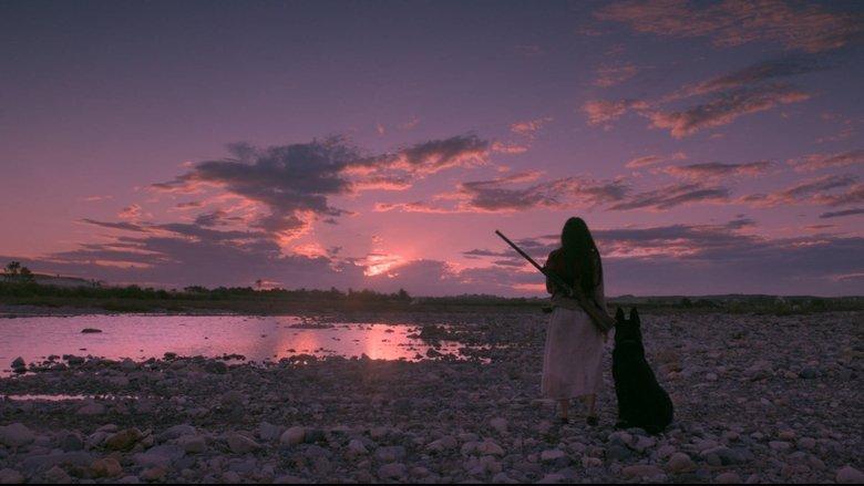 Birdshot image