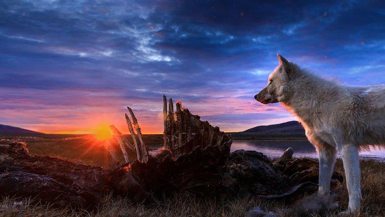 Kingdom of the White Wolf image