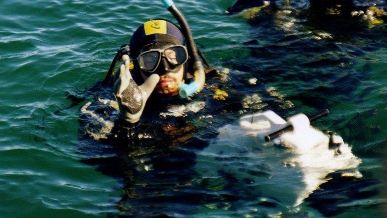 The Bottom of the Sea image