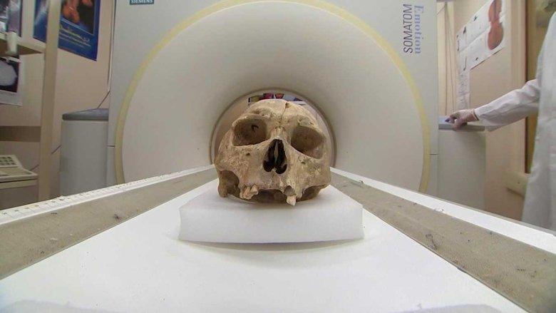 Forensic Firsts image