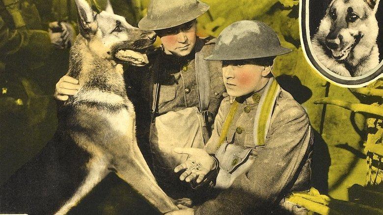 His Master's Voice image