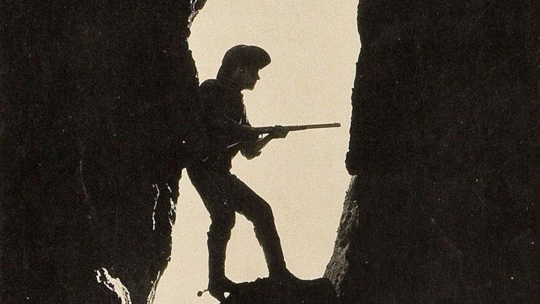 The Wallop image