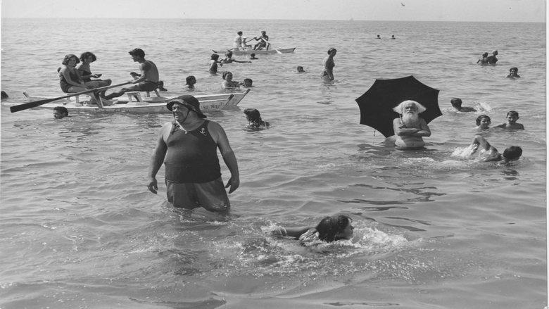 La famiglia Passaguai image