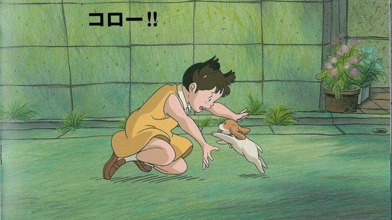 Koro's Big Day Out image