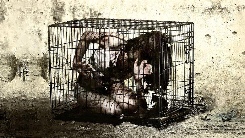 Caged image