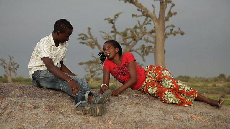 Tall as the Baobab Tree image