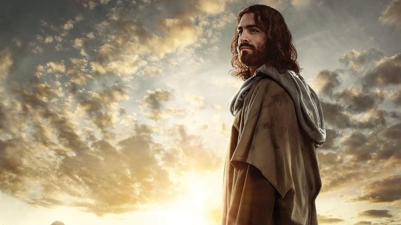 Finding Jesus: Faith. Fact. Forgery image
