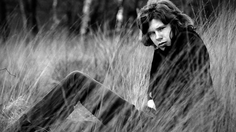 A Skin Too Few: The Days of Nick Drake image