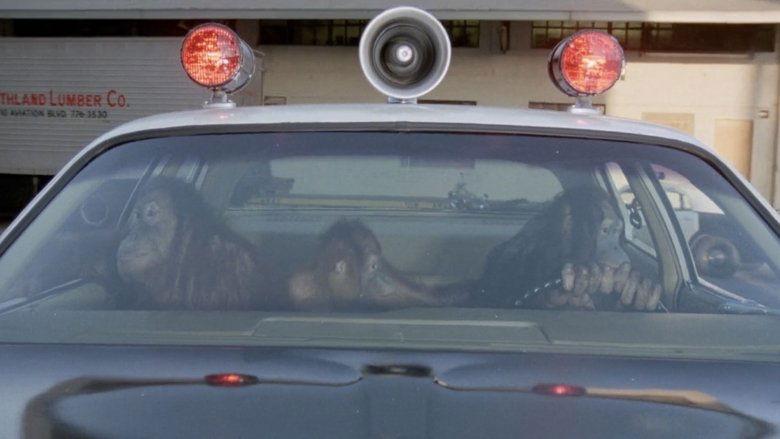 Going Ape! image