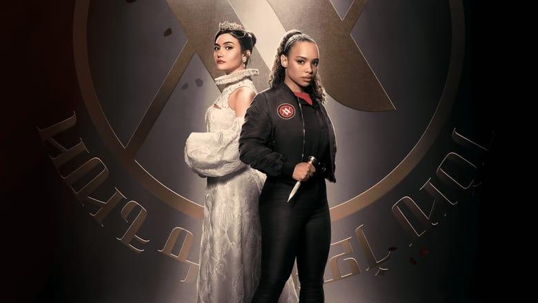 Vampire Academy image