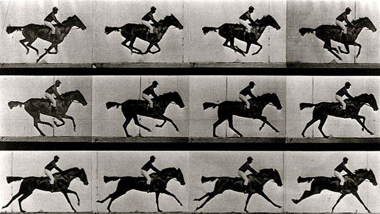 Eadweard image