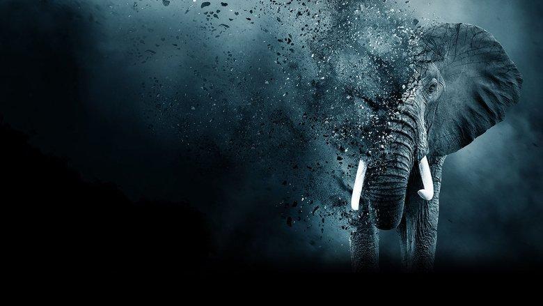 The Ivory Game image