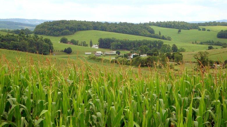 The World According to Monsanto image