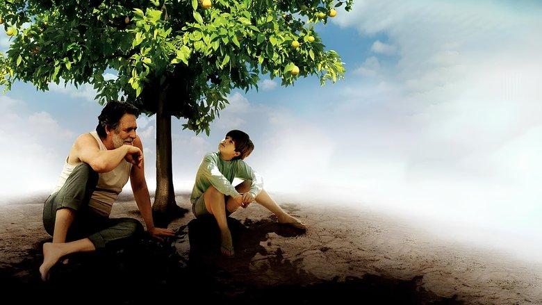 My Sweet Orange Tree image