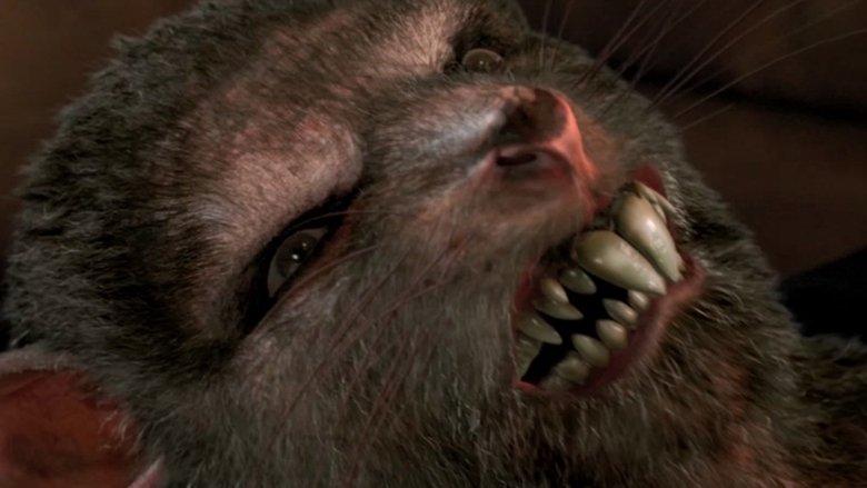 Ratpocalypse image