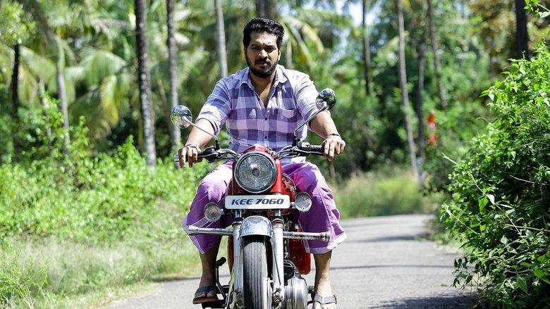 Vallikkettu image