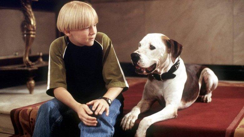 The Pooch and the Pauper image