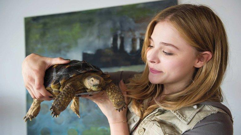 Laggies image