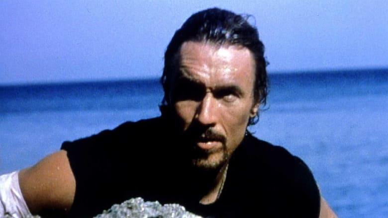 Sea Wolf: The Pirate's Curse image