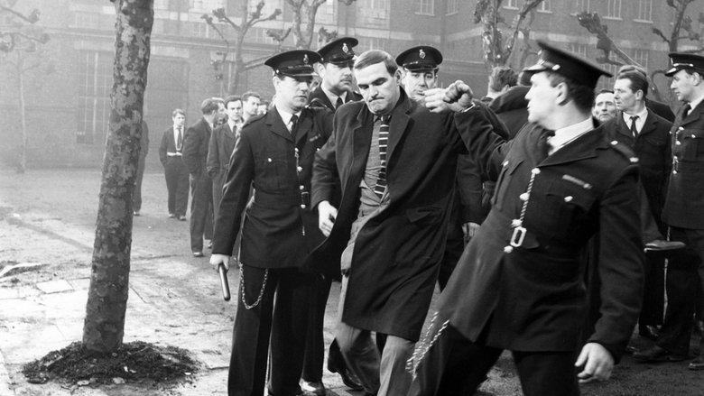 The Criminal image