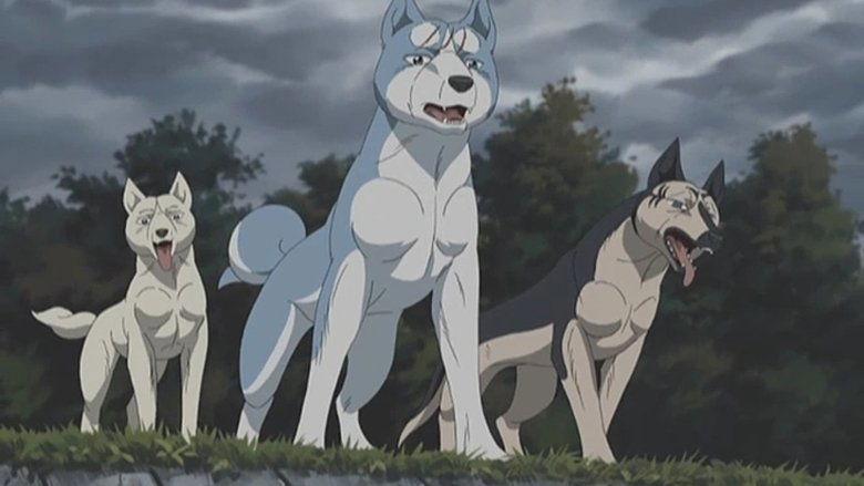 Silver Fang Legend Weed image