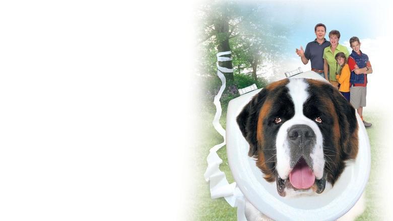 Beethoven's 4th image