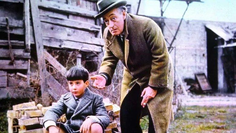 Toto and Marcellino image