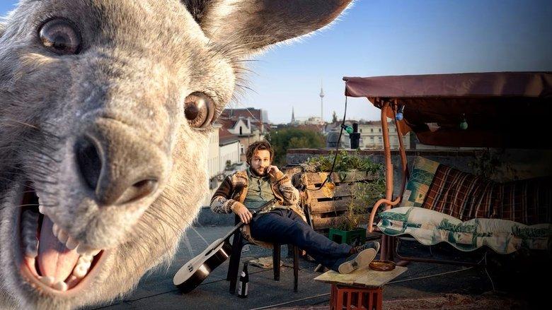 The Kangaroo Chronicles image