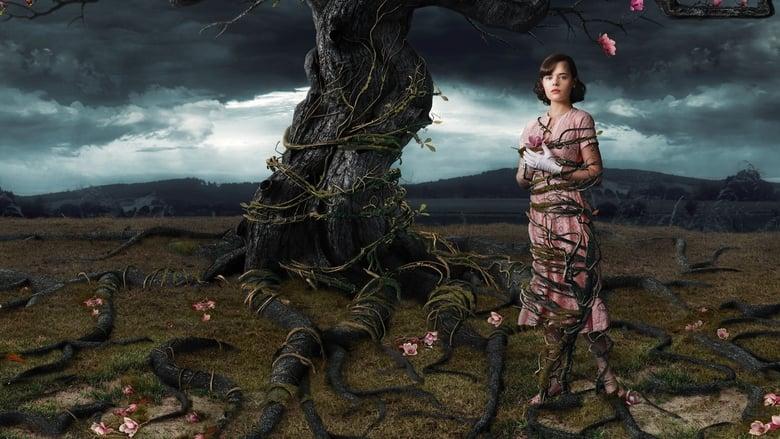 Web of Dreams image