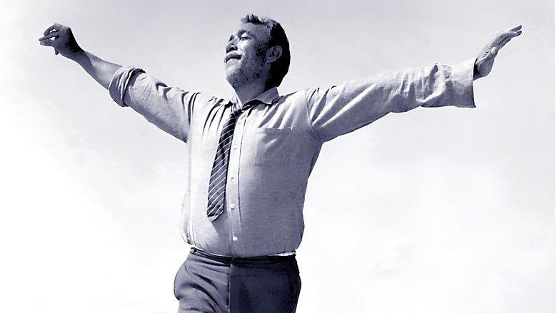 Zorba the Greek image