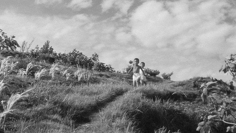 The Naked Island image