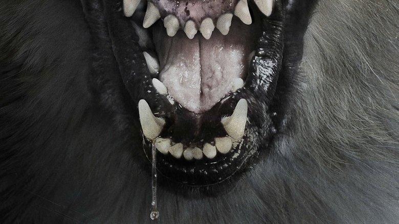 The Pack image