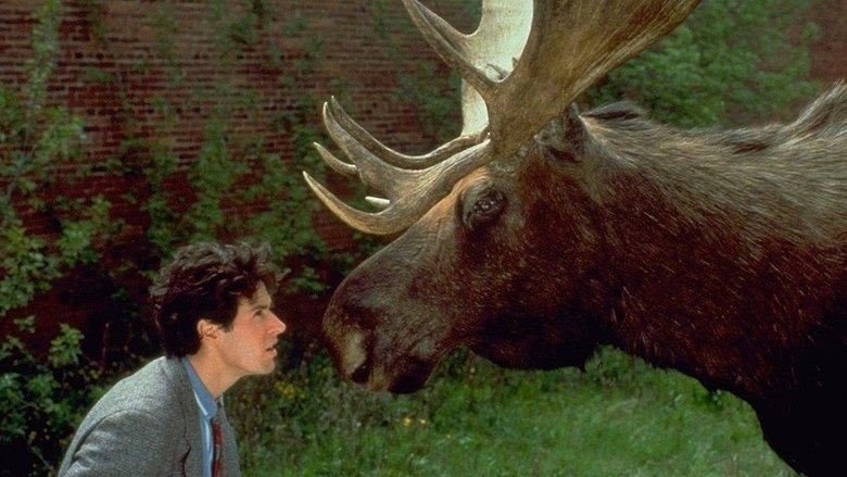 Northern Exposure image