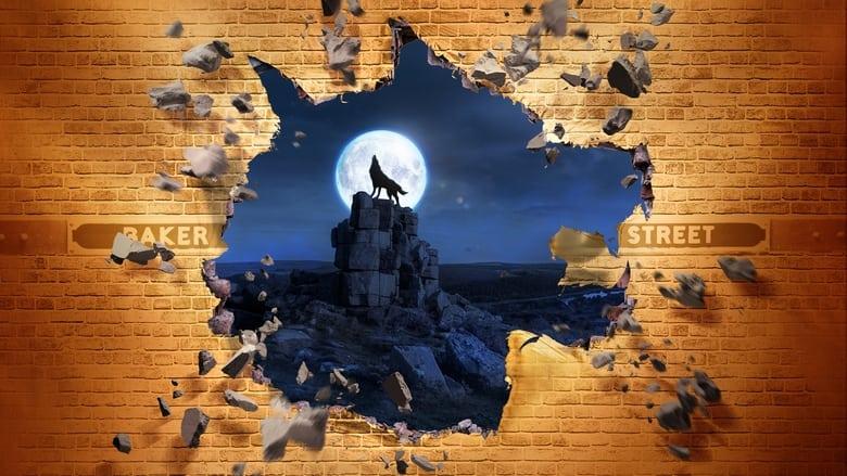The Hound of the Baskervilles image