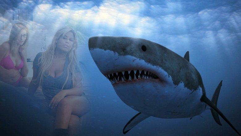 Shark Babes image