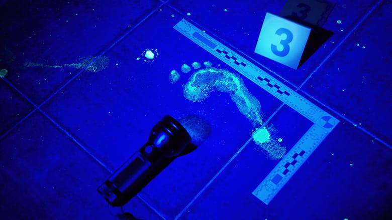 Forensic Files image