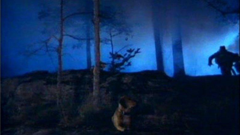 The Legend of Hillbilly John image