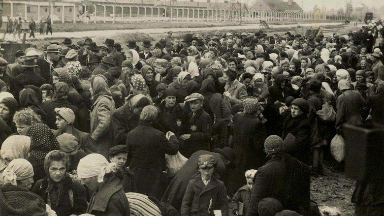 Auschwitz - One Day image