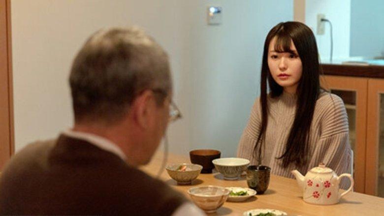 Gifu to mibôjin: Ichiya dake no himegoto image