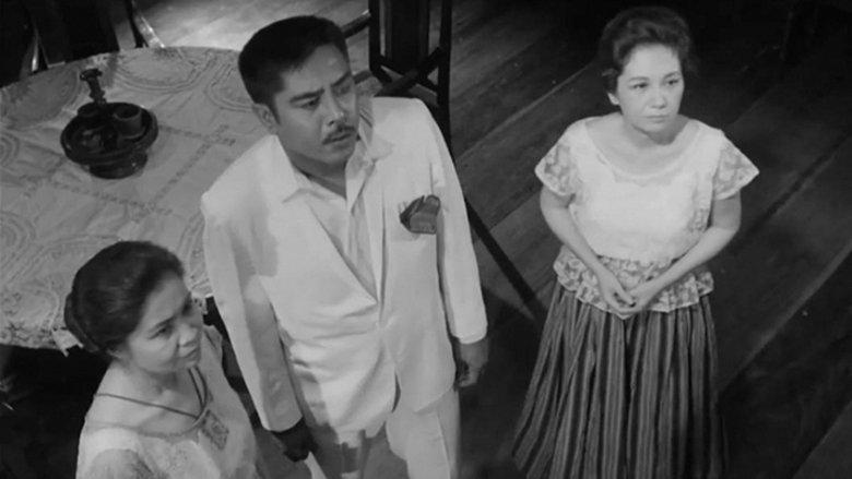 A Portrait of the Artist as Filipino image