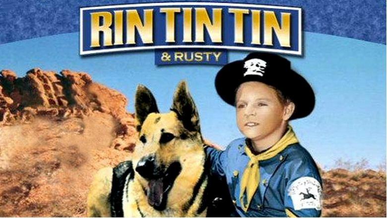 The Adventures of Rin Tin Tin image